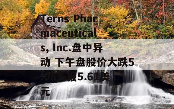 Terns Pharmaceuticals, Inc.盘中异动 下午盘股价大跌5.08%报5.61美元