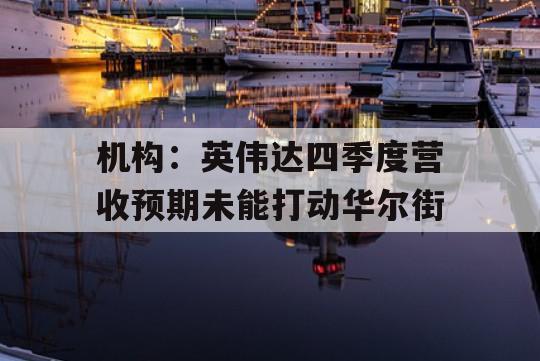 机构：英伟达四季度营收预期未能打动华尔街