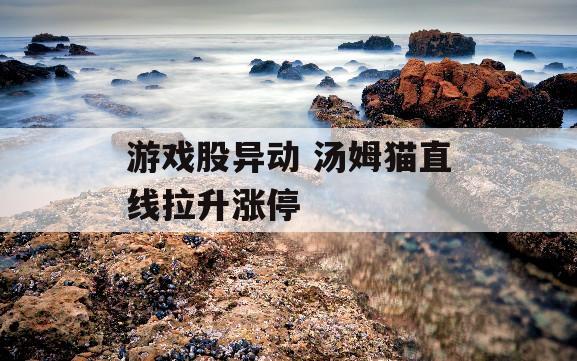 游戏股异动 汤姆猫直线拉升涨停